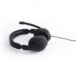 Hama PC Office Headset HS-USB300