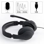 Hama PC Office Headset HS-USB300