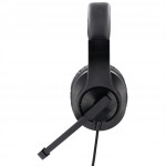 Hama PC Office Headset HS-P350